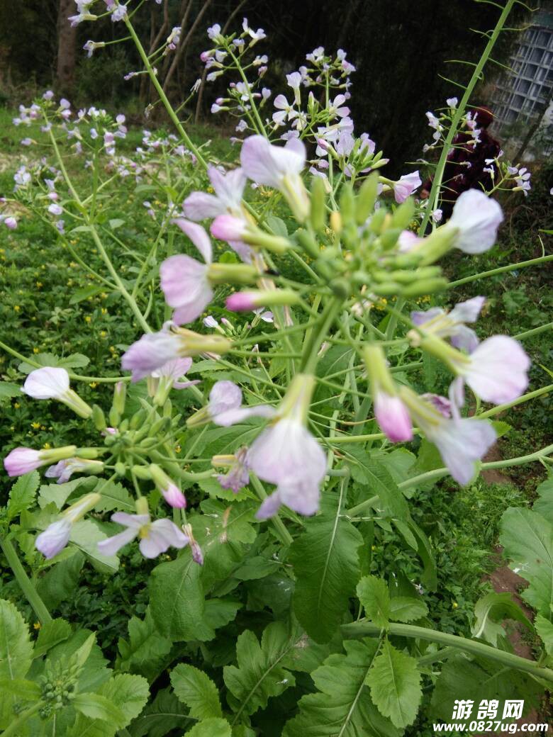 131012s88doh3dzzudffr8.jpg