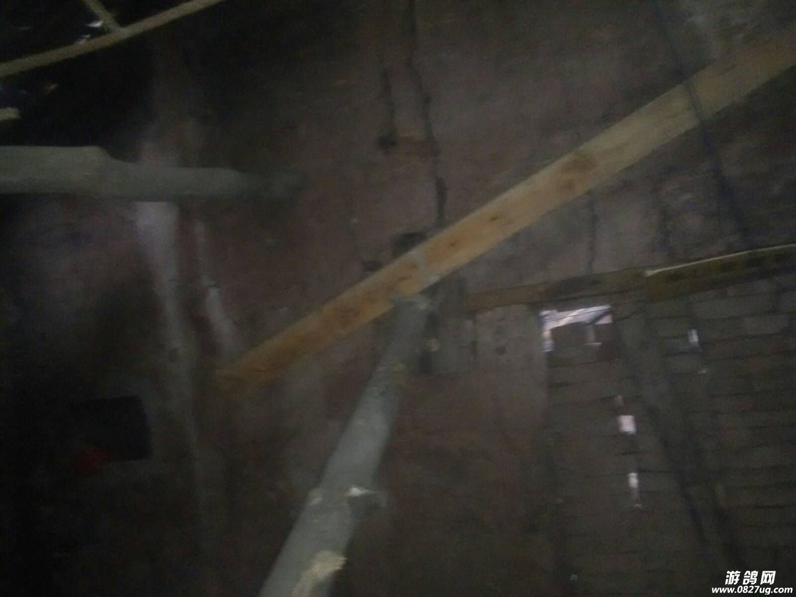 215559lltvll1lehchythl.jpg