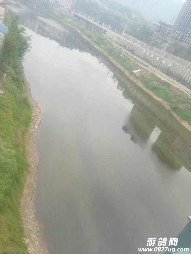 111614iimxxij3af89x5x1.jpg
