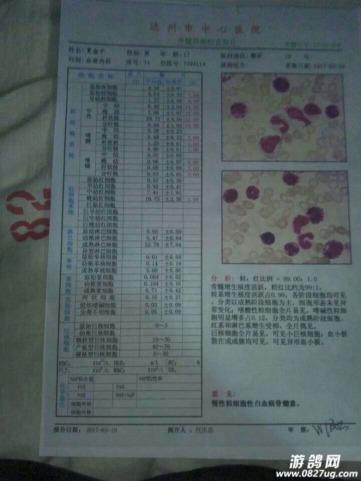 121613t5shx11exptbrbnc.jpg
