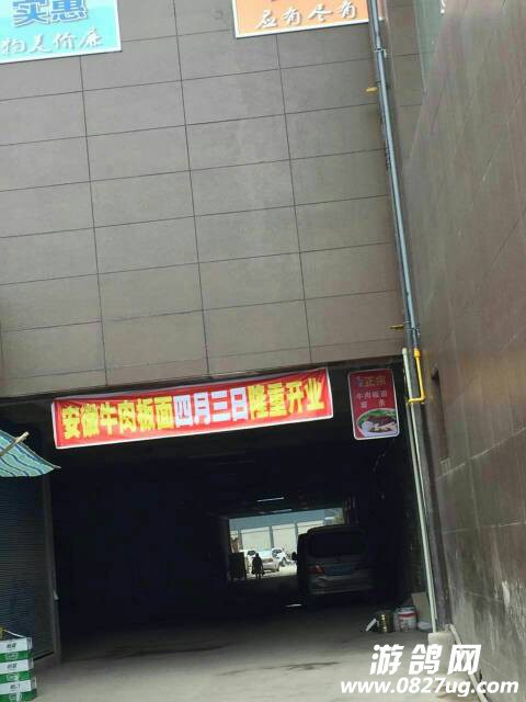 215858pzj1as6hg0vlt0v6.jpg