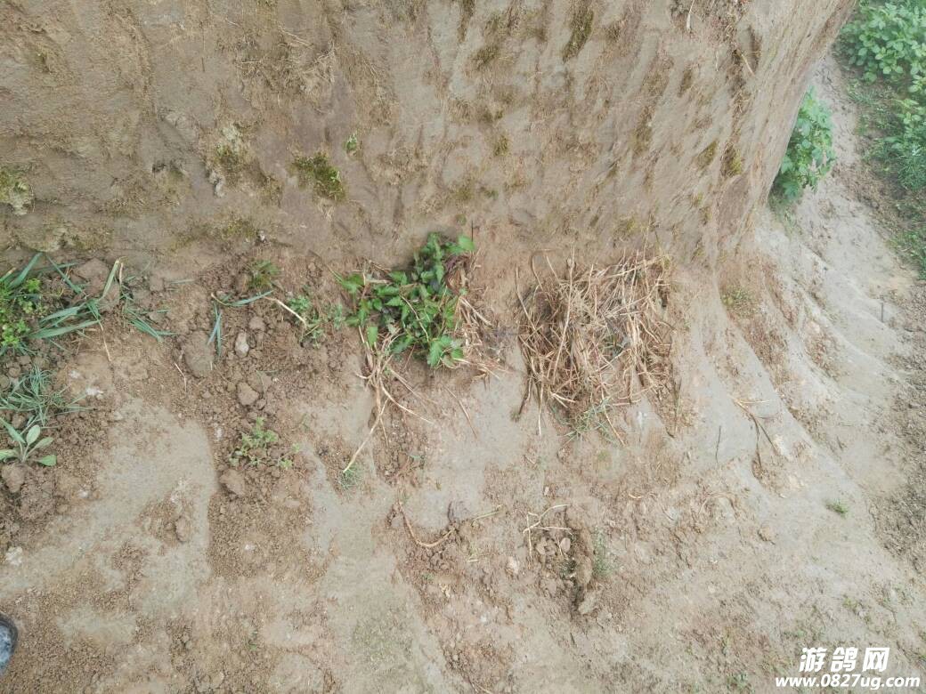 091823ybssjjo9jfjn08do.jpg
