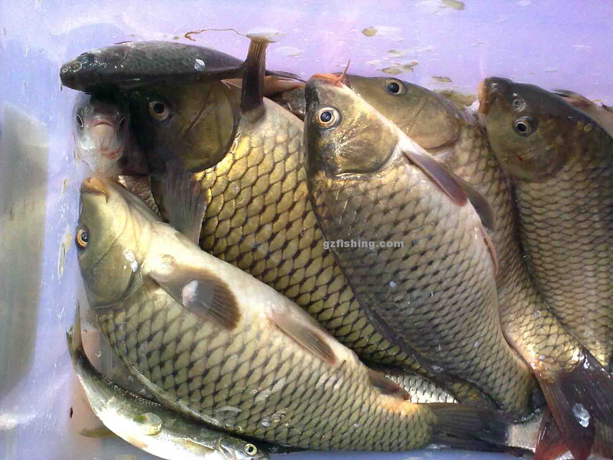 20100816213812419.jpg