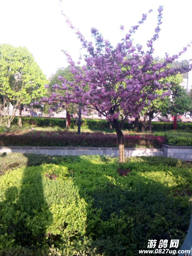 133705zy35juzyoz31llll.jpg