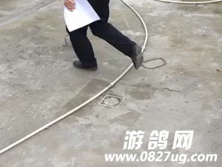 000657x772b0w4ppqyzpzt.jpg