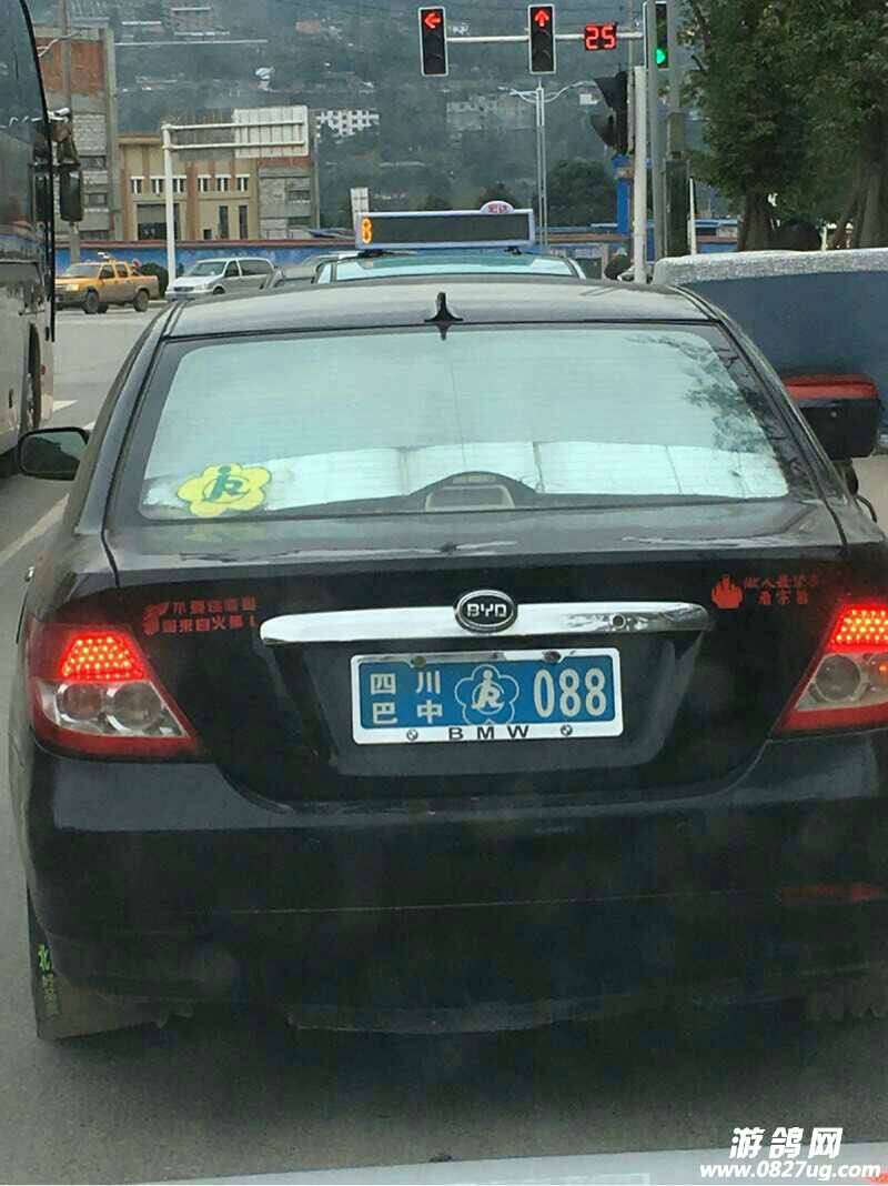 084437e34yzdya3zf3ass0.jpg