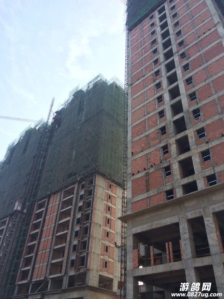 130039raplau5whavtwtp6.jpg