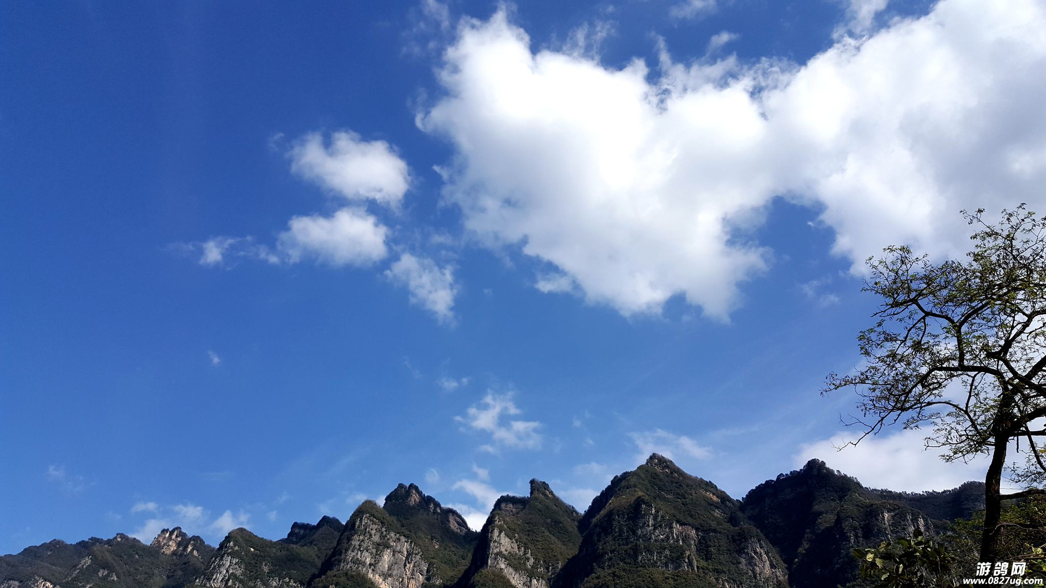 20170410_162950_副本.jpg