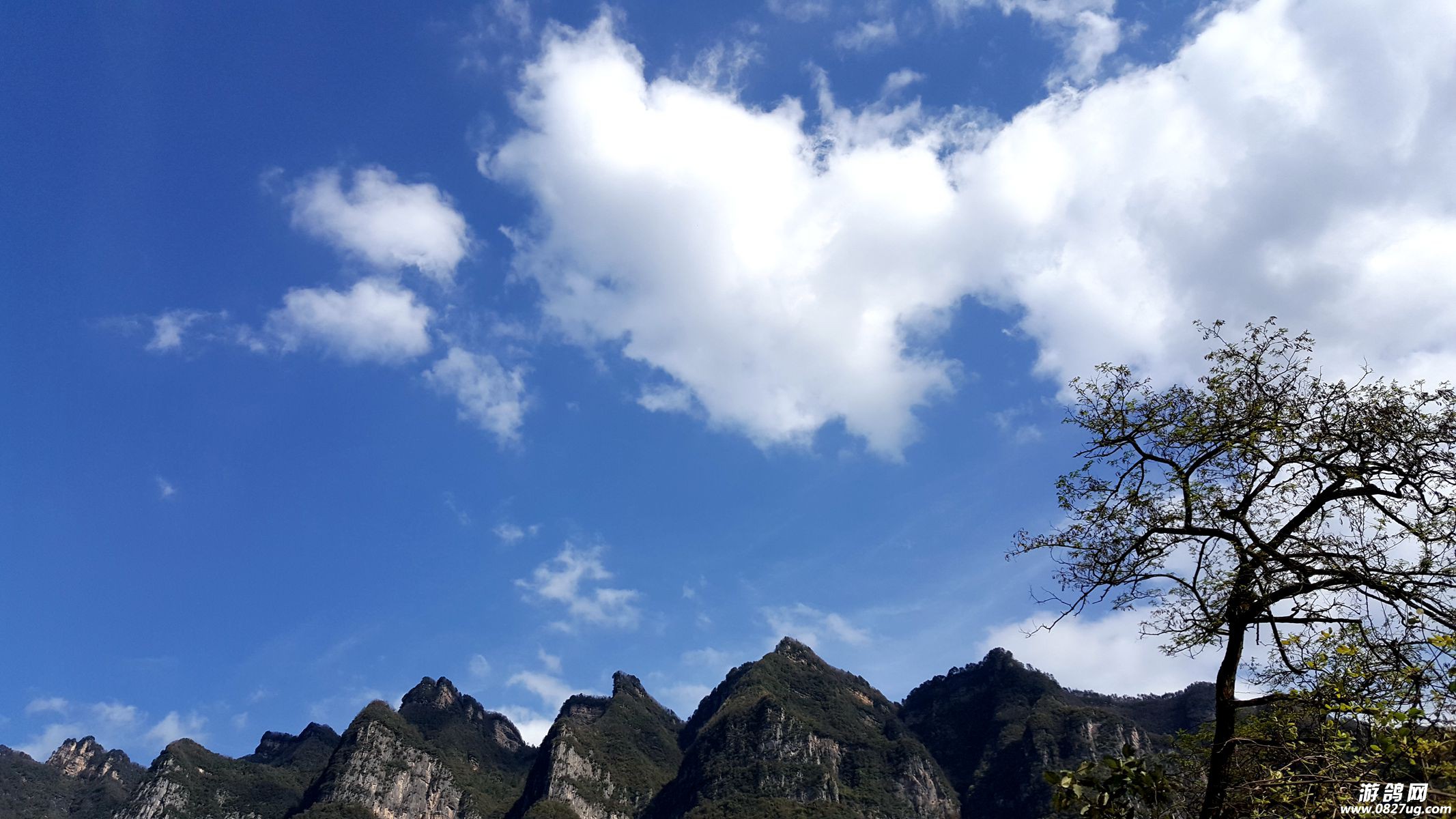 20170410_162953_副本.jpg