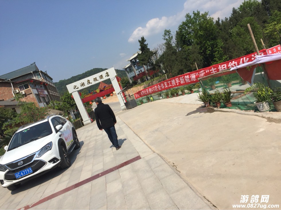 190427c05lp0k5kgv44jky.jpg