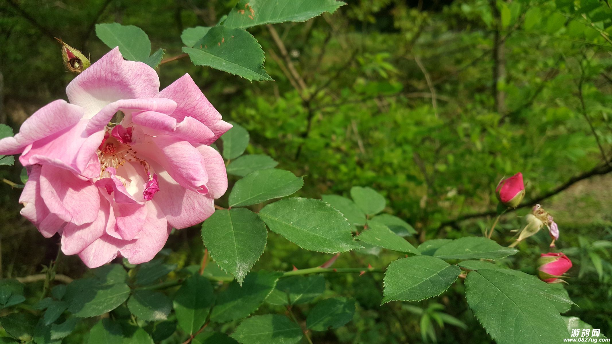 20170427_174814_.jpg