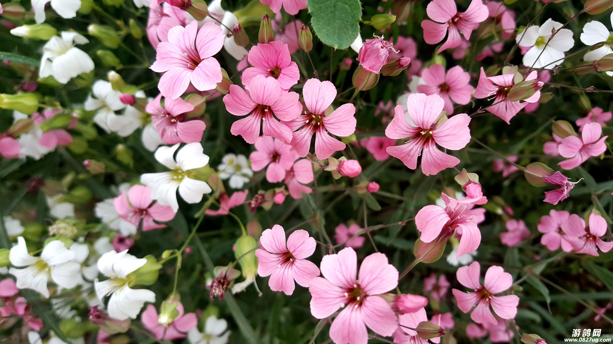 20170427_182609_.jpg
