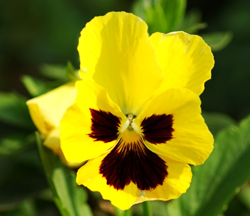 DSC01992_conew1.jpg