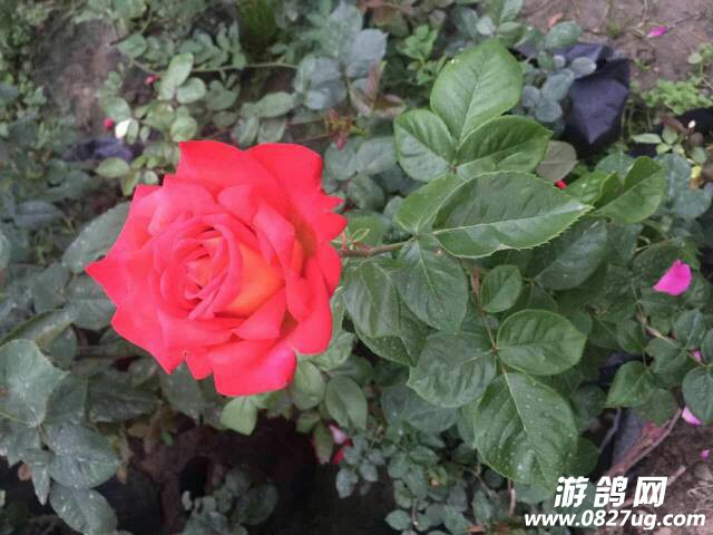 193041ukqk5cd14zb34nyb.jpg