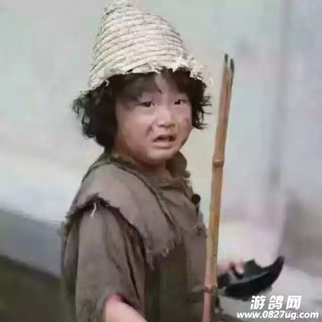 182420utz1rhxd4f2jpx2j.jpg