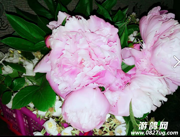QQͼ20170509104608.png