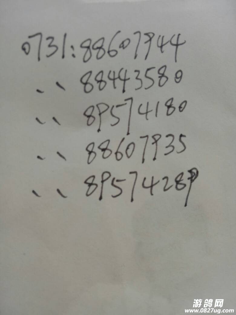 134720kps6psyzz26usj1d.jpg