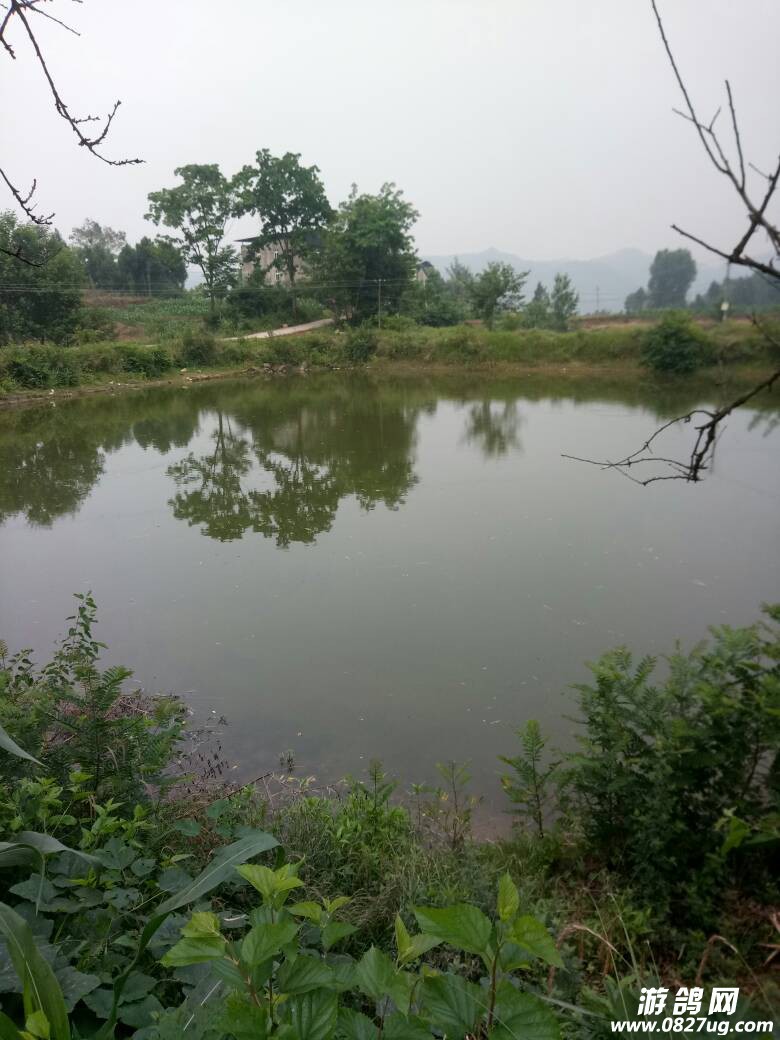 103306hcqcsq5ppasqaznp.jpg