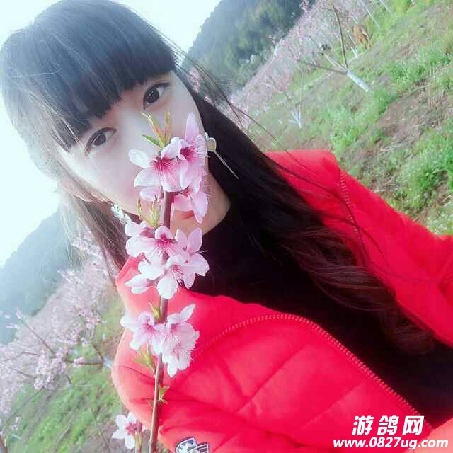 102847ax6tx8g8fqmnqt25.jpg