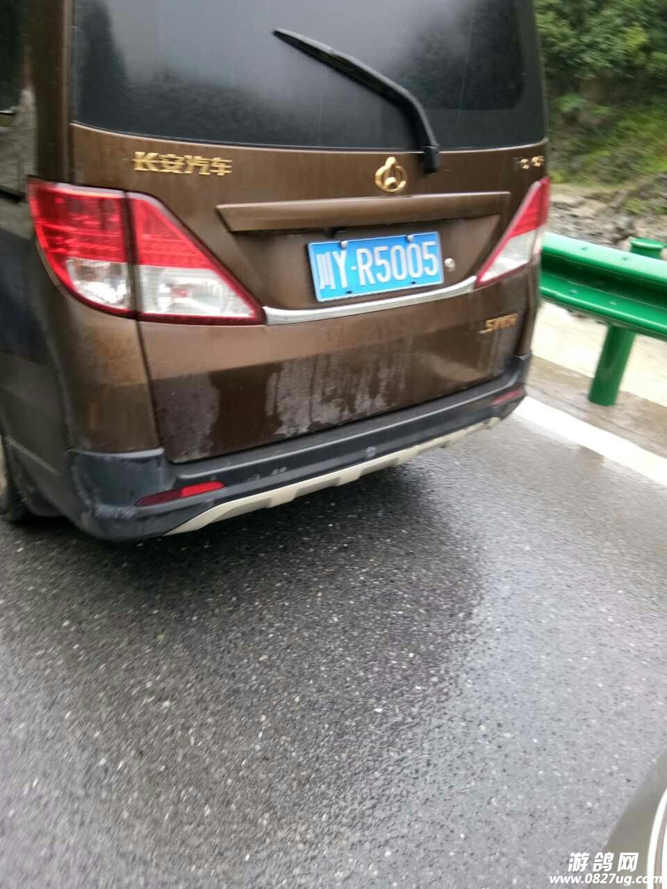 171626uyy19s4x10w3s502.jpg