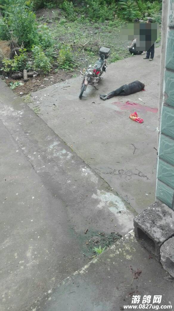 084241qmqxaaf0m31mcfh1.jpg