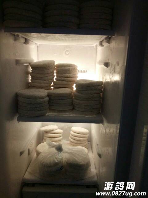 120748w71qqx2m1hm0dqgx.jpg