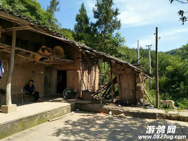160712jv4slqnzunnzc4sq.jpg
