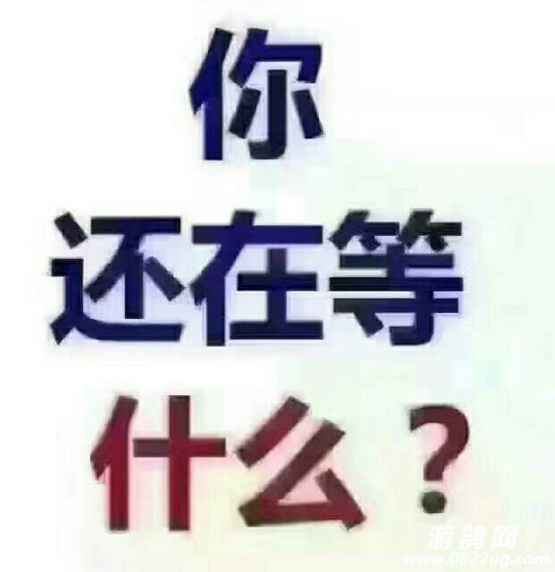 181350l422u1e02il6j2m8.jpg