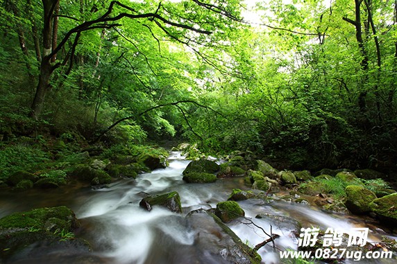 DPP_058.JPG