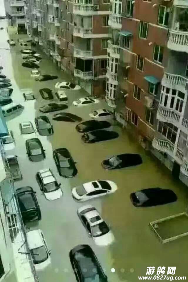 102452tv8wz5zks2vwc993.jpg
