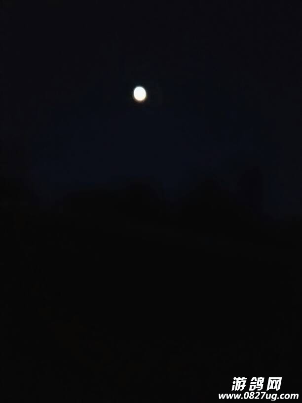213049huk6tzx4jpkltbkz.jpg