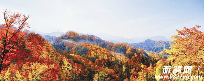 20121024132043_1561106.jpg