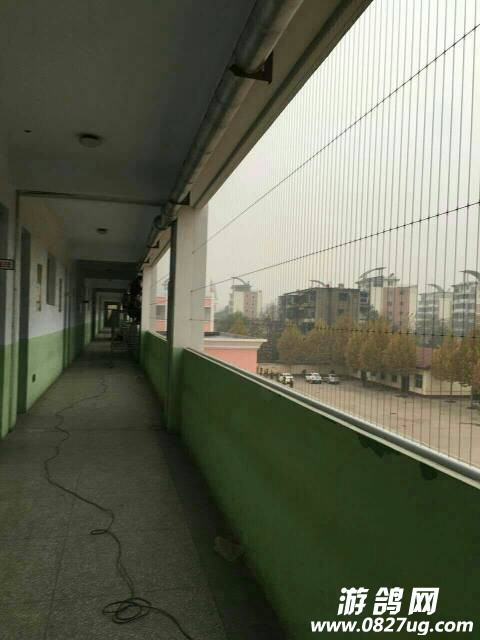 101101ptol7bebqjl2bq7z.jpg