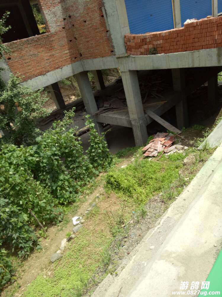 20170708_163440_1499500330419.jpg