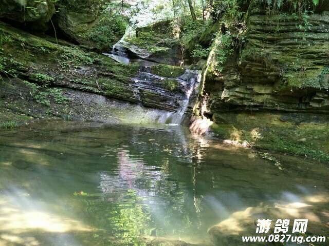 20170709_142384_1499574212834.jpg
