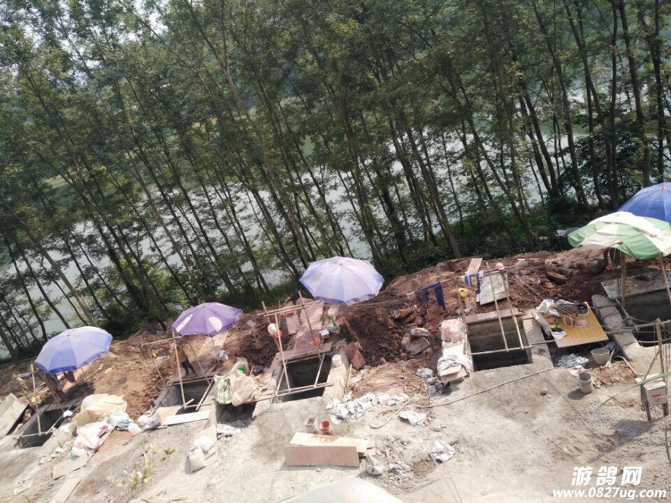QQ图片20170629124403.jpg