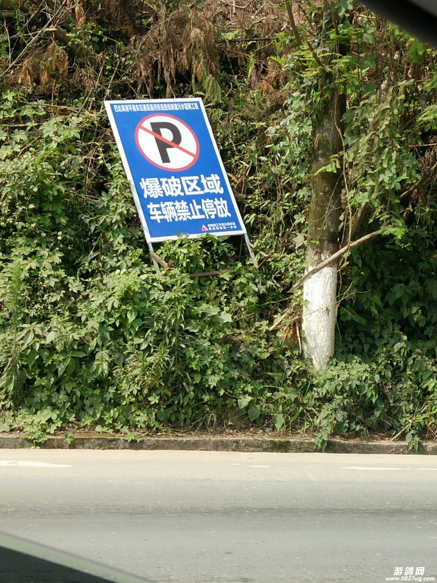 QQ图片20170629124628.jpg