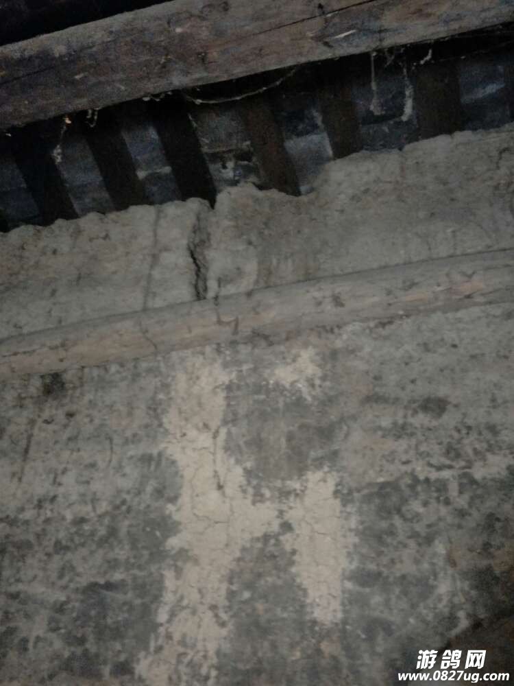 20170715_164382_1500124861264.jpg