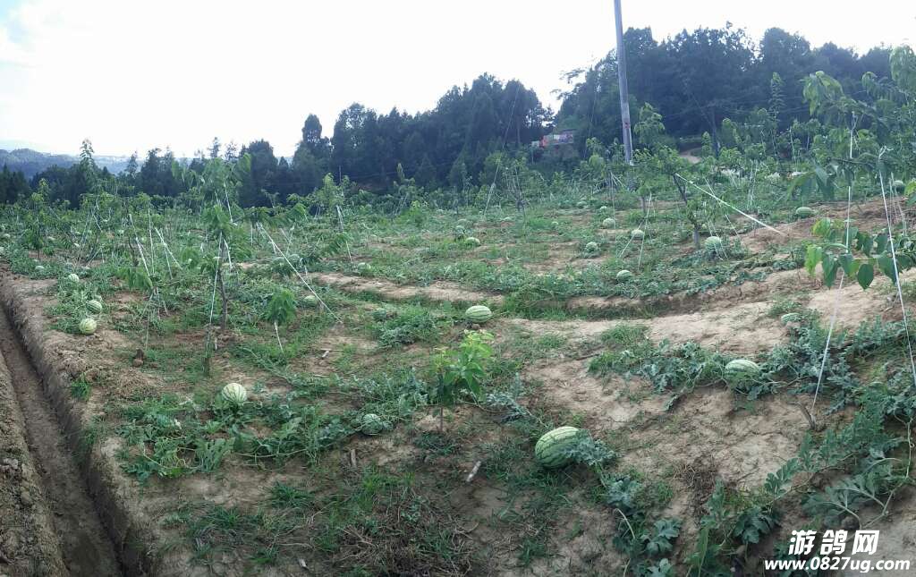 20170716_164808_1500214526627.jpg