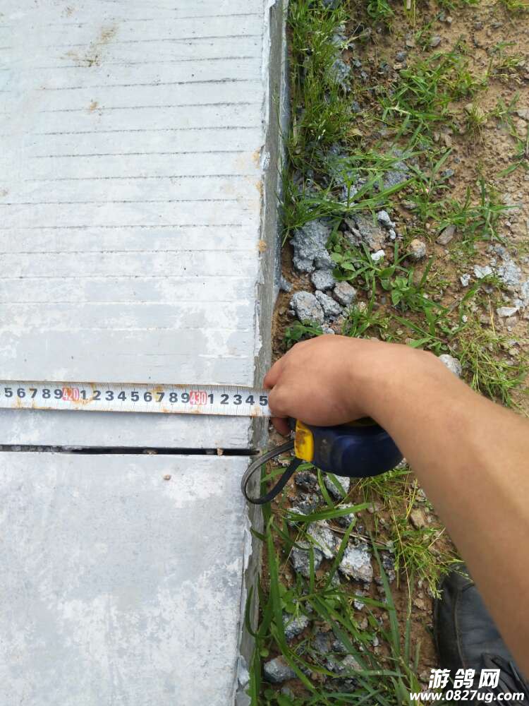 20170717_162765_1500282876033.jpg
