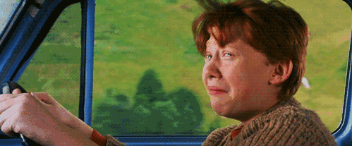12.gif