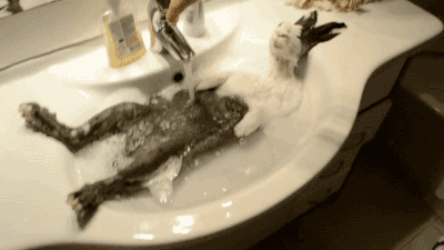 10.gif