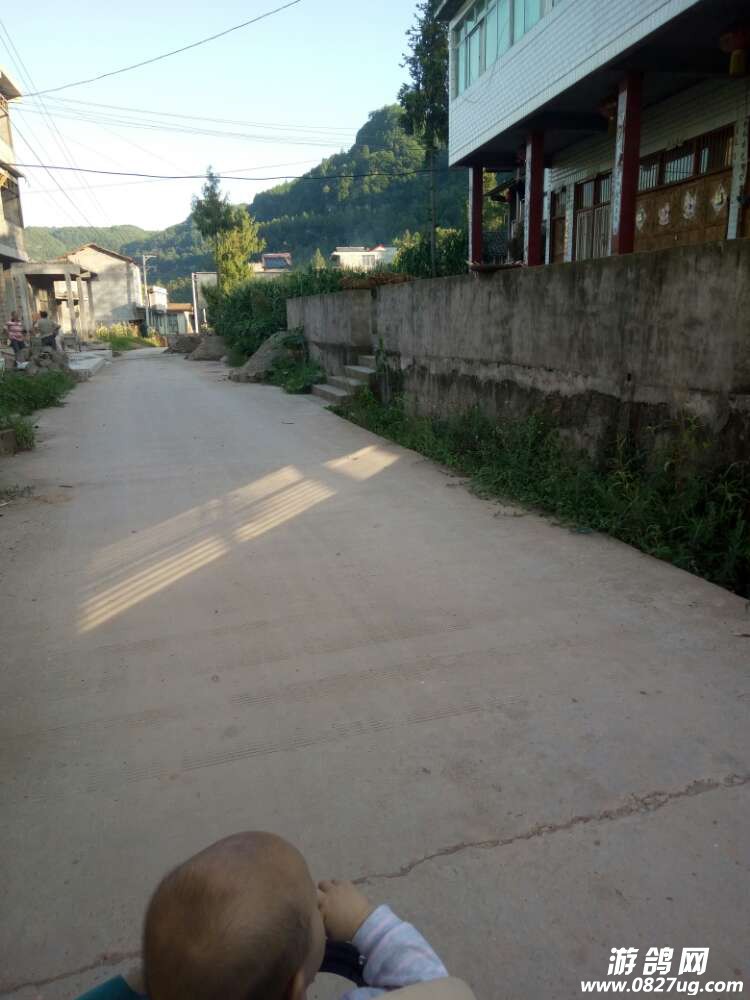 20170801_165001_1501592474963.jpg