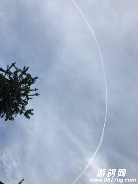201708031463081501718234657123.jpg