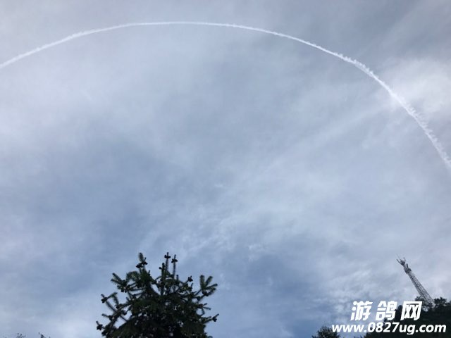 201708031463081501718234691116.jpg