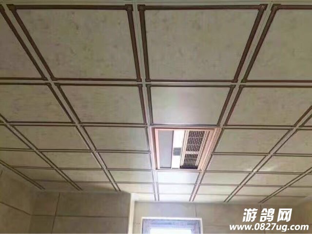 201708041684051501858314214821.jpg
