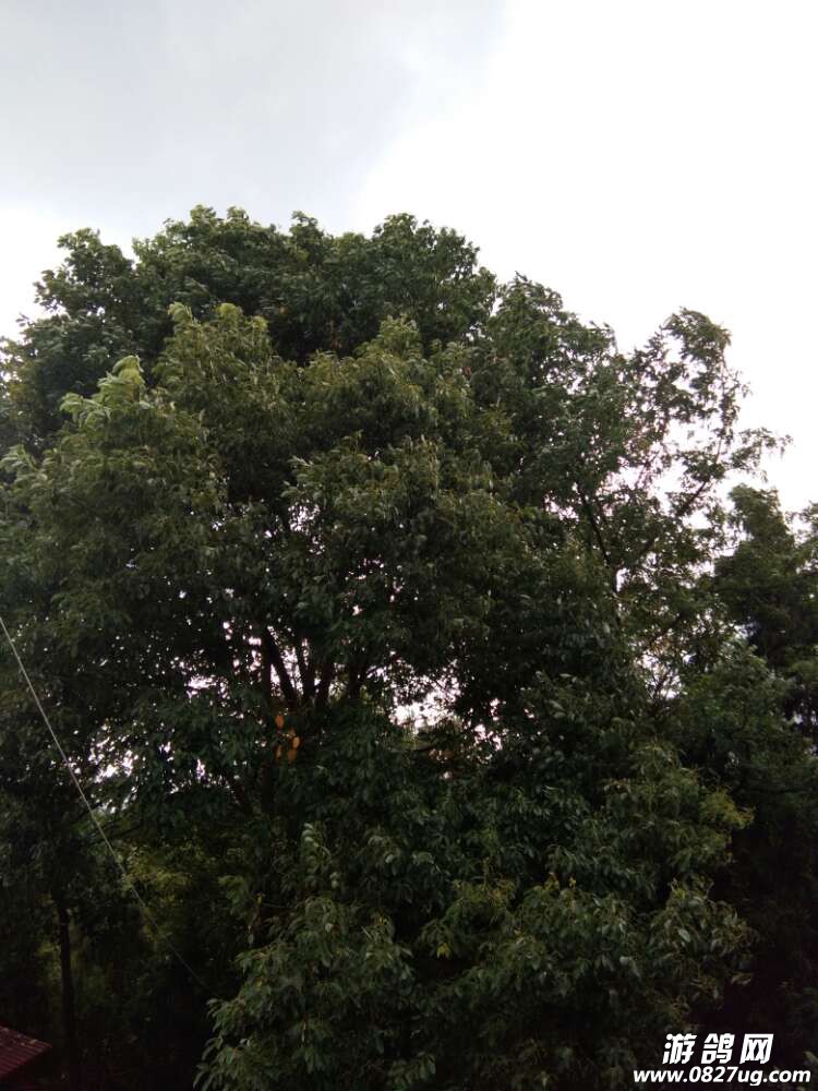 20170805_163221_1501911632356.jpg