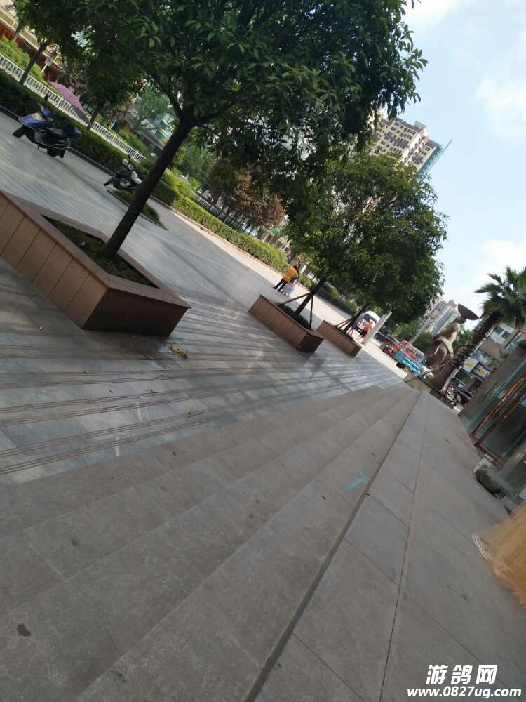 20170809_157105_1502246311557.jpg