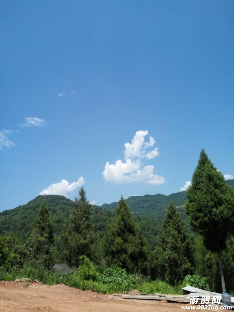20170813_143274_1502576208200.jpg