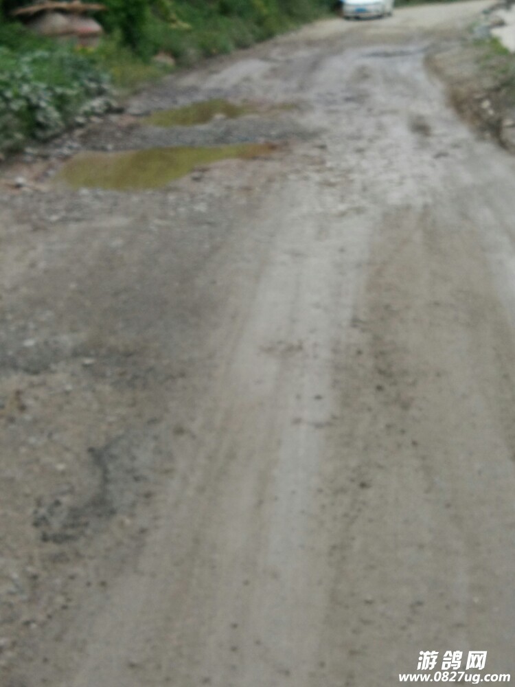 20170813_159322_1502608890902.jpg